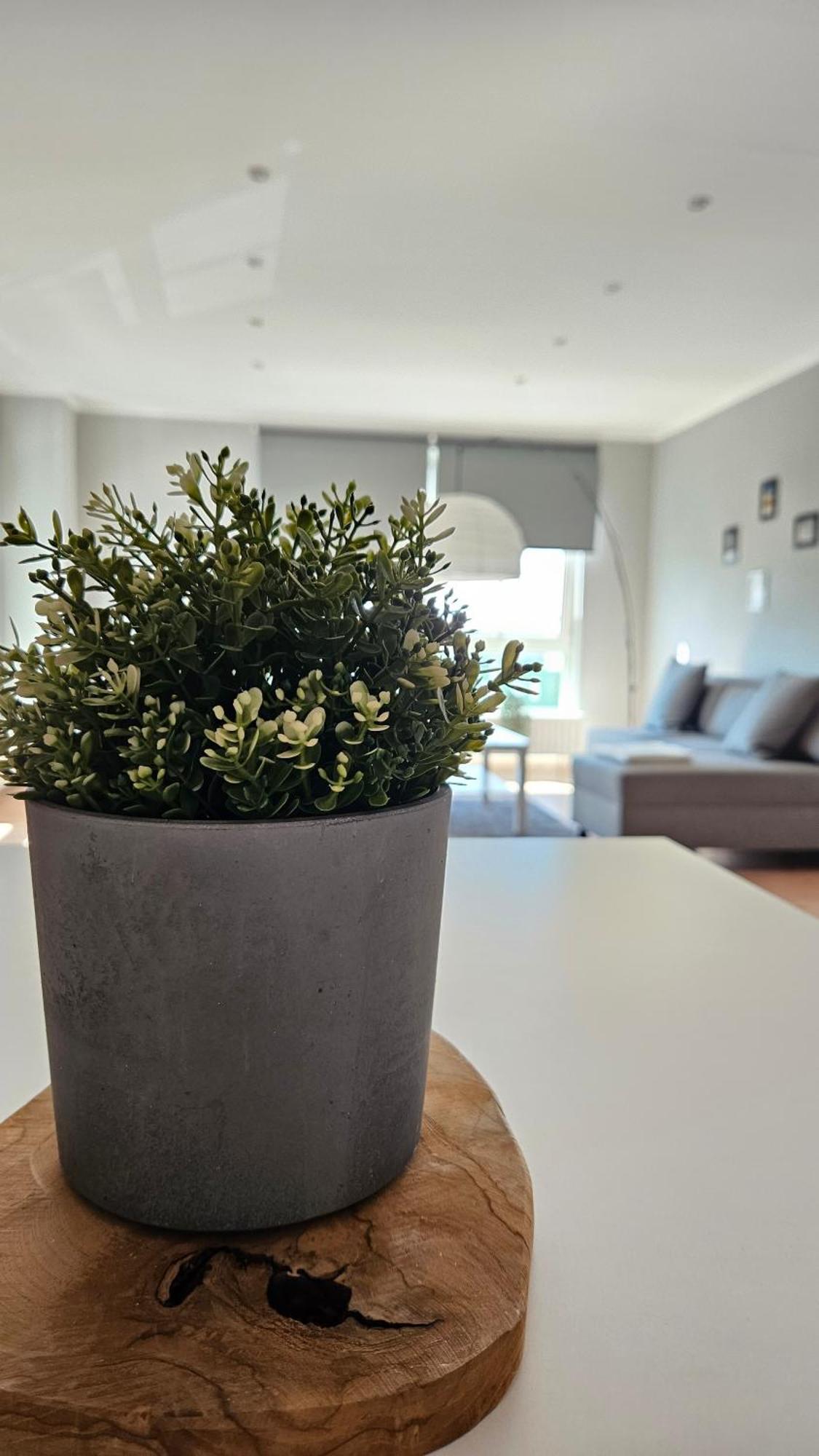 Apartment L19 One Bamberg - Geraeumig In Ruhiger Lage Mit Parkplatz Zewnętrze zdjęcie